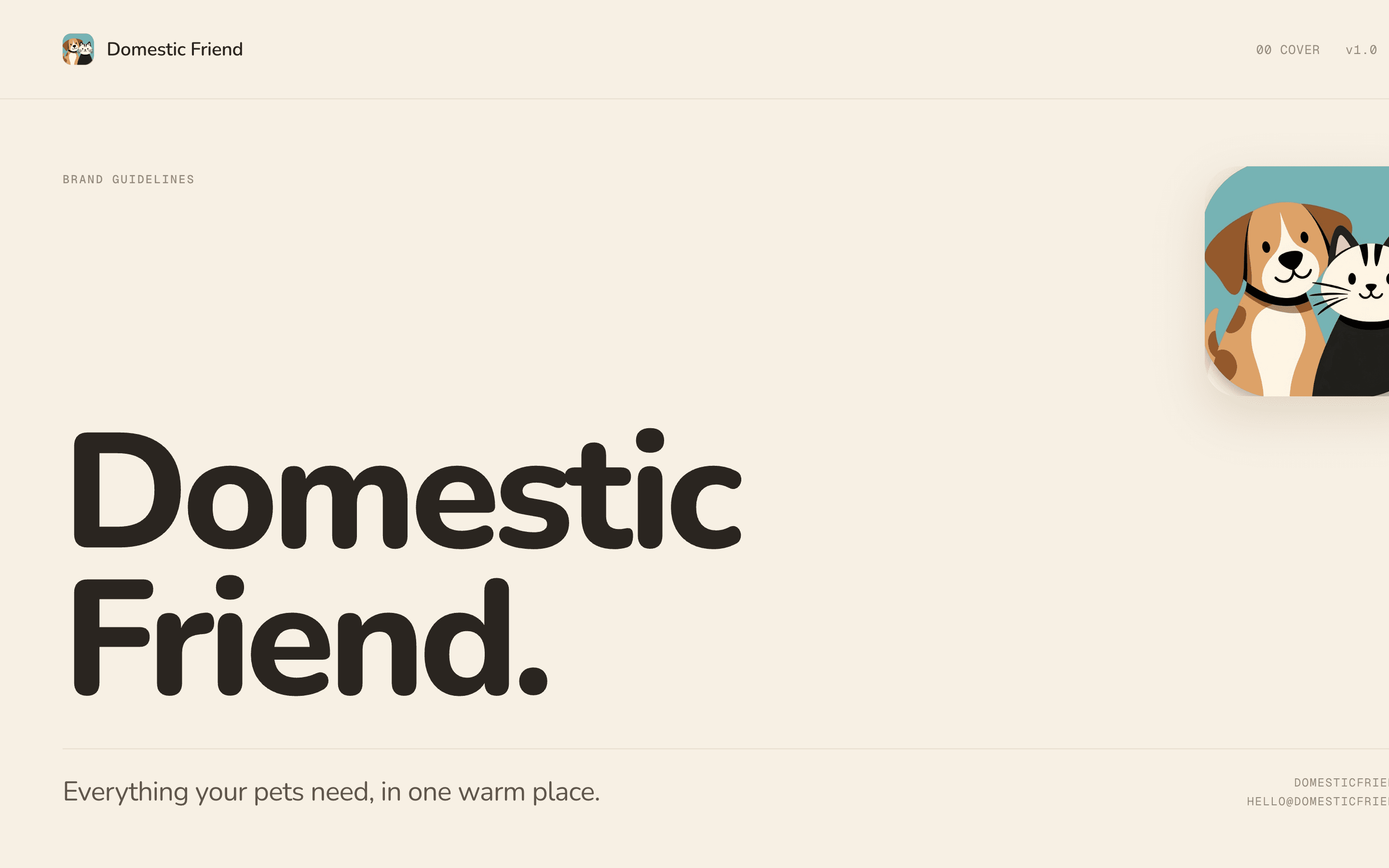 Domestic Friend brand guidelines, slide 1.