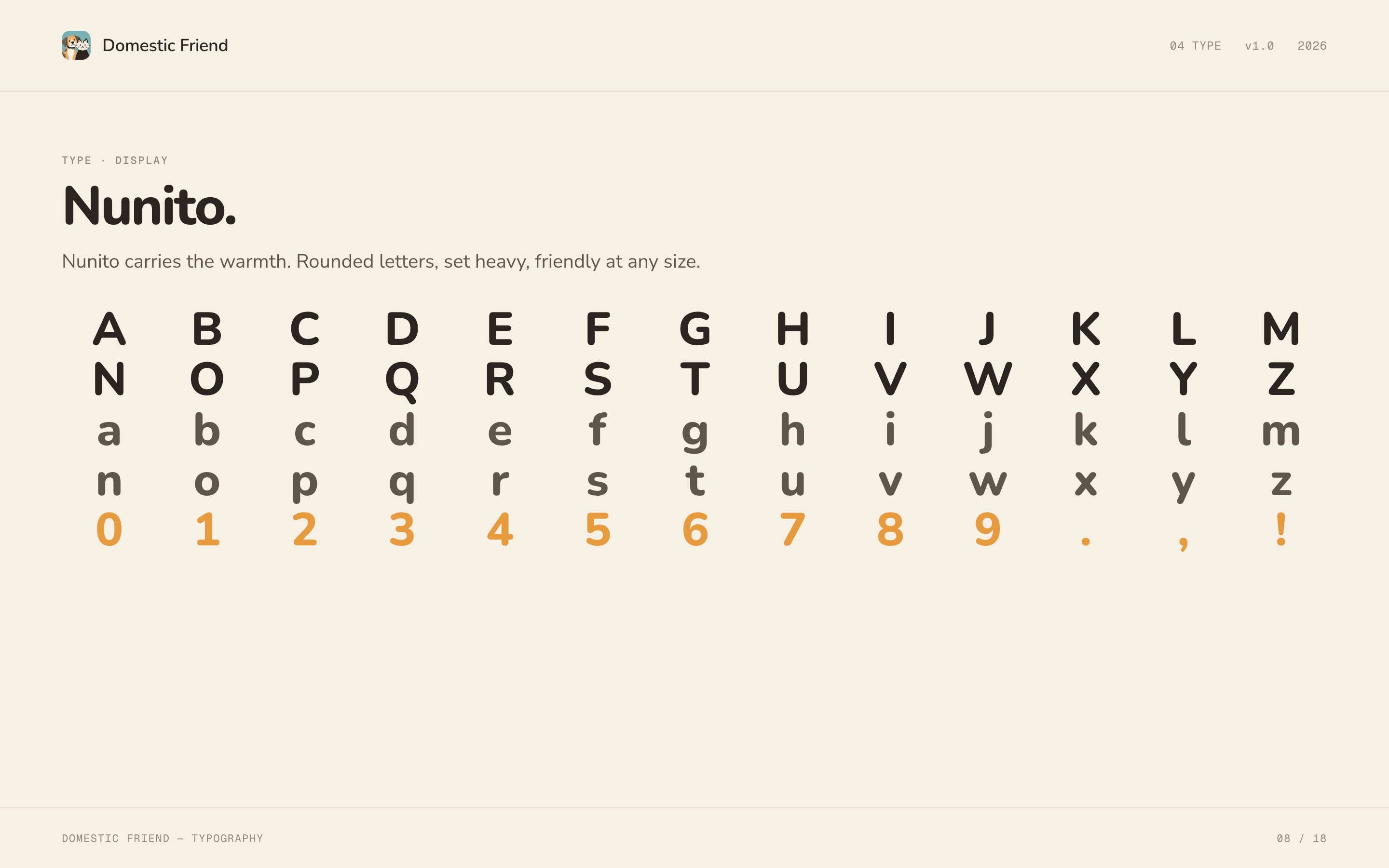 Domestic Friend brand guidelines, slide 8.