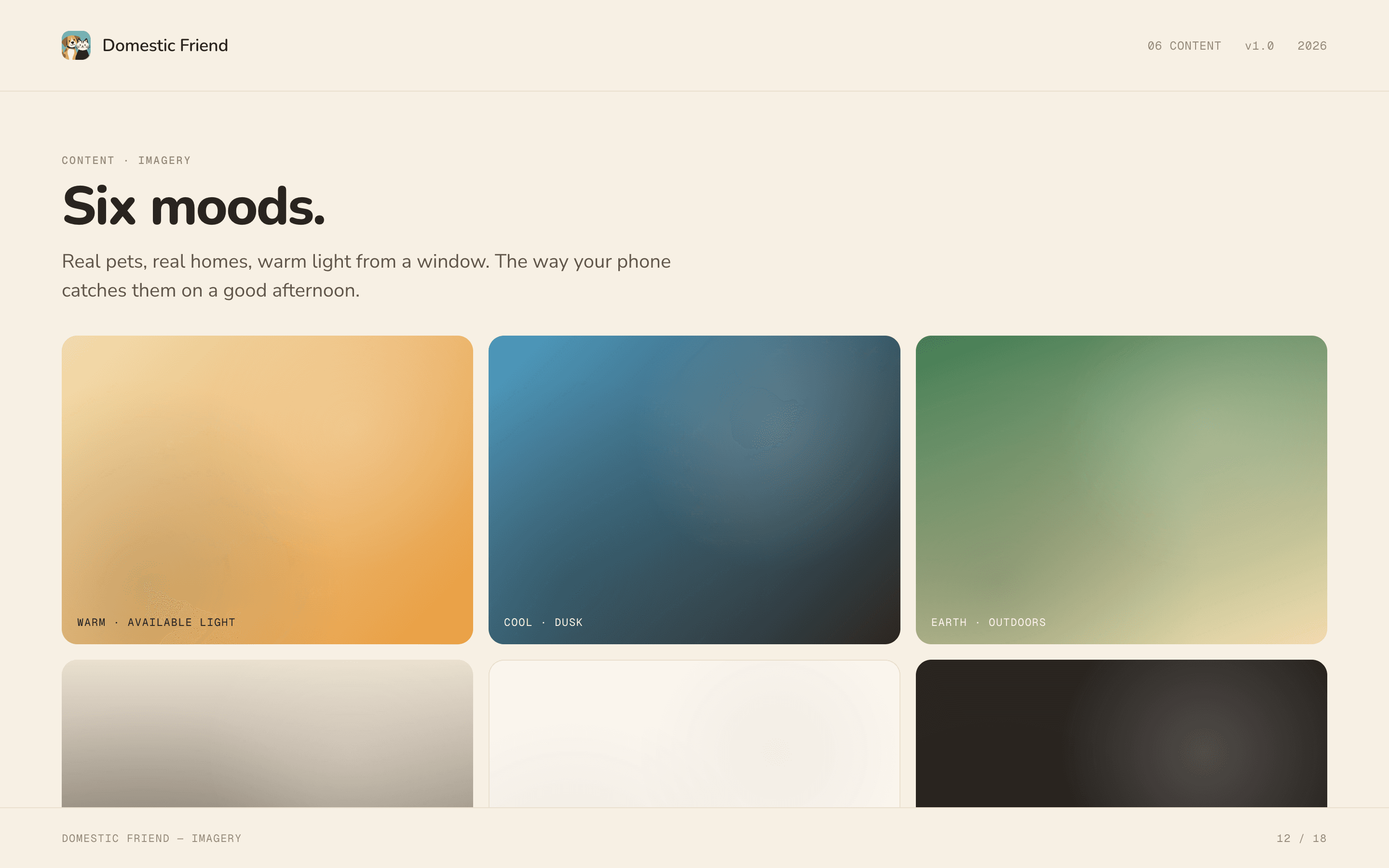 Domestic Friend brand guidelines, slide 12.